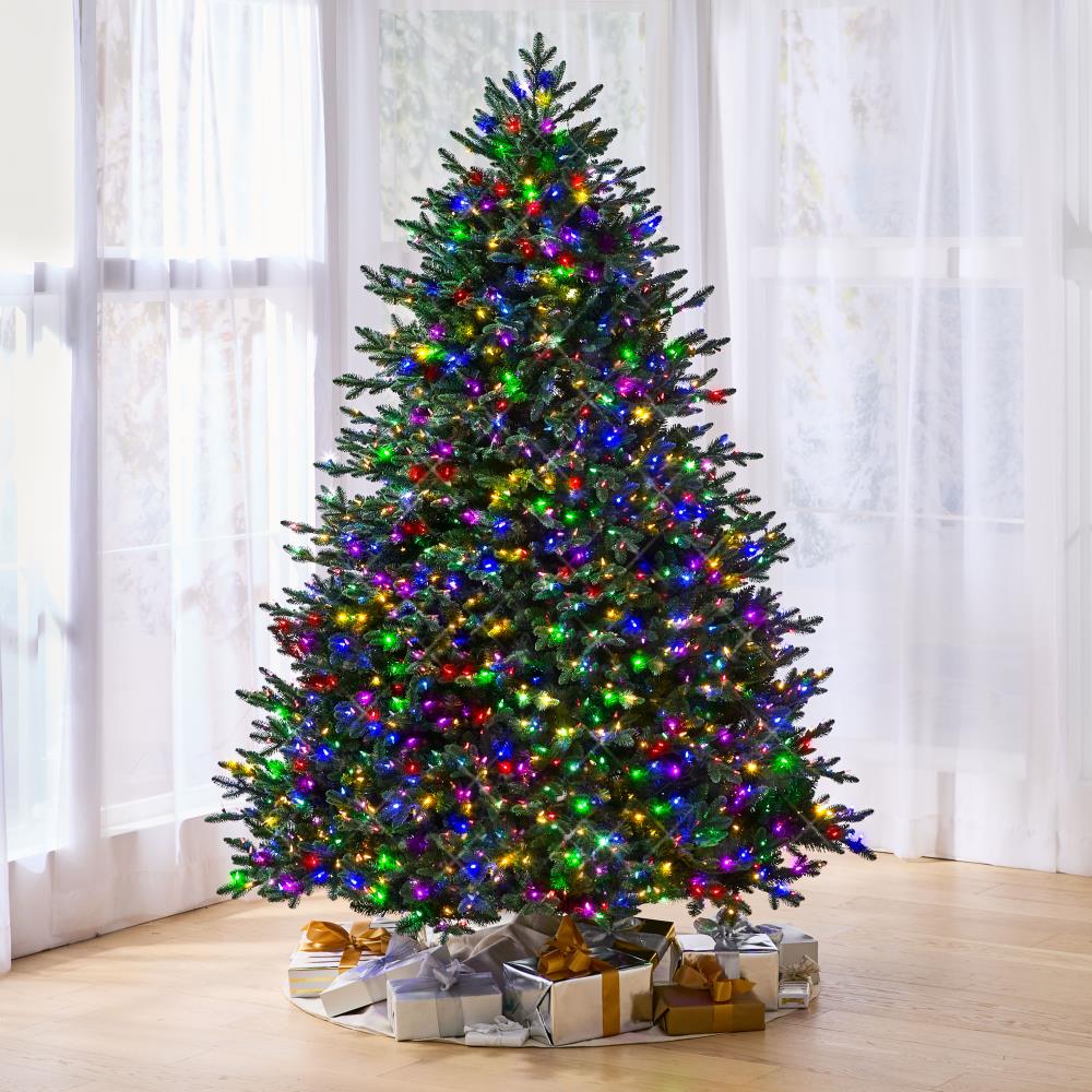 The Worlds Best 8.5ft Balsam Fir Full