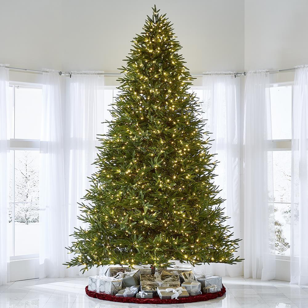 The Worlds Best Prelit 12ft Fraser Fir