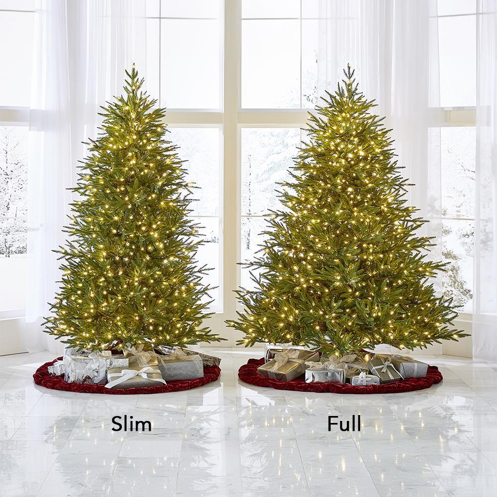 The Worlds Best Prelit 12ft Fraser Fir