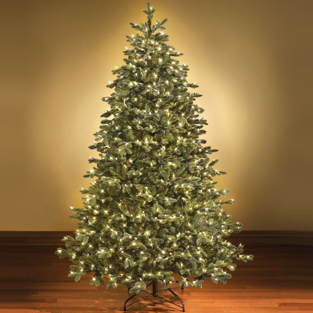 The Switchable Color Prelit Noble Fir