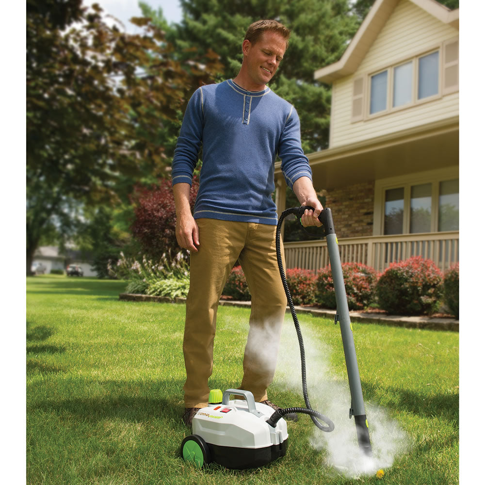 The Weed Killing Steamer