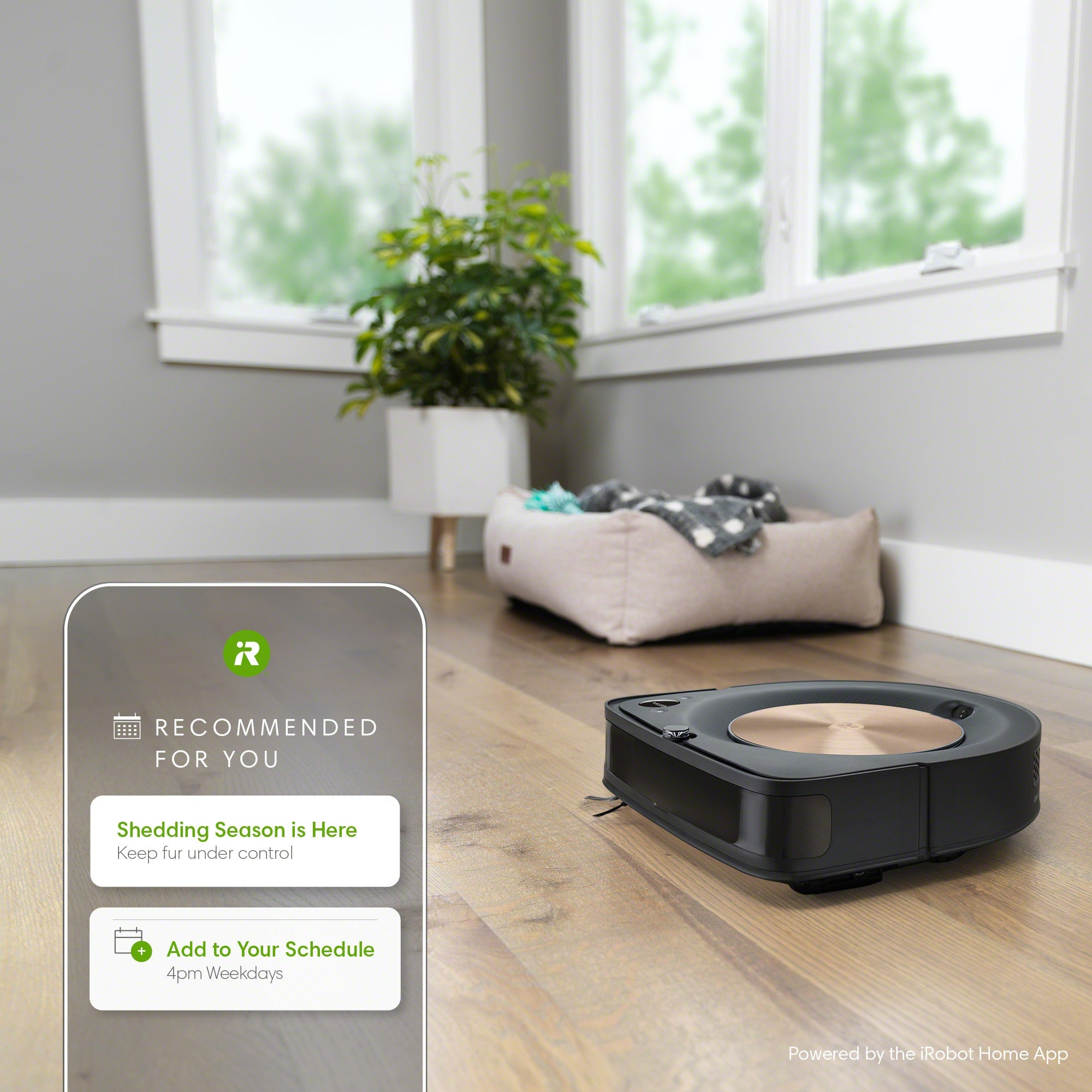 The Superior Suction Roomba s9 App And Voice Controlled Robotic Vacuum