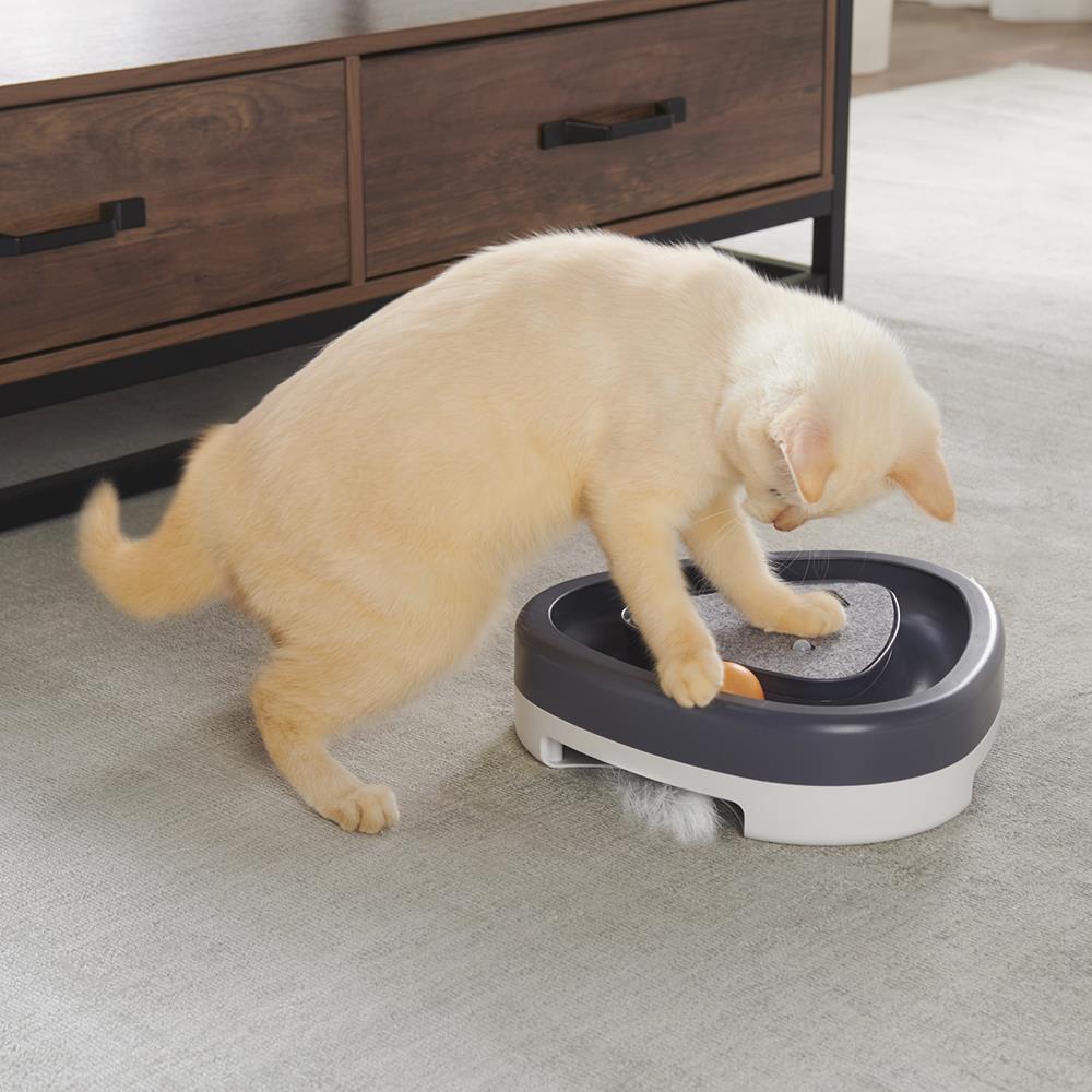 The Bird Chirping And Feather Cat Toy