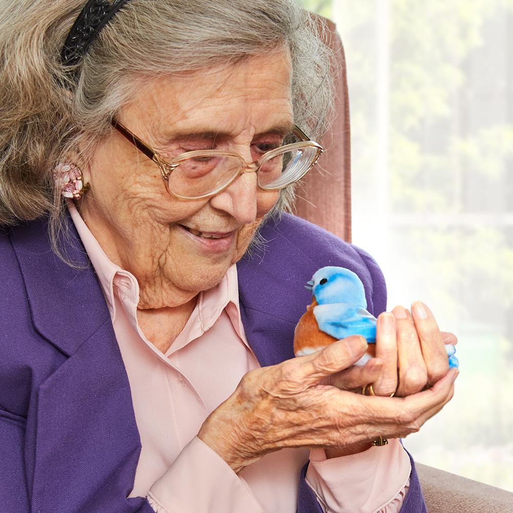 The Lifelike Companion Bird