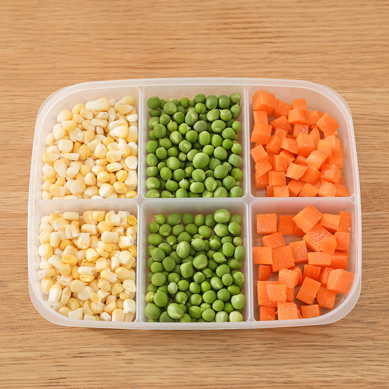 Multi-Section Food Storage Container with Lid