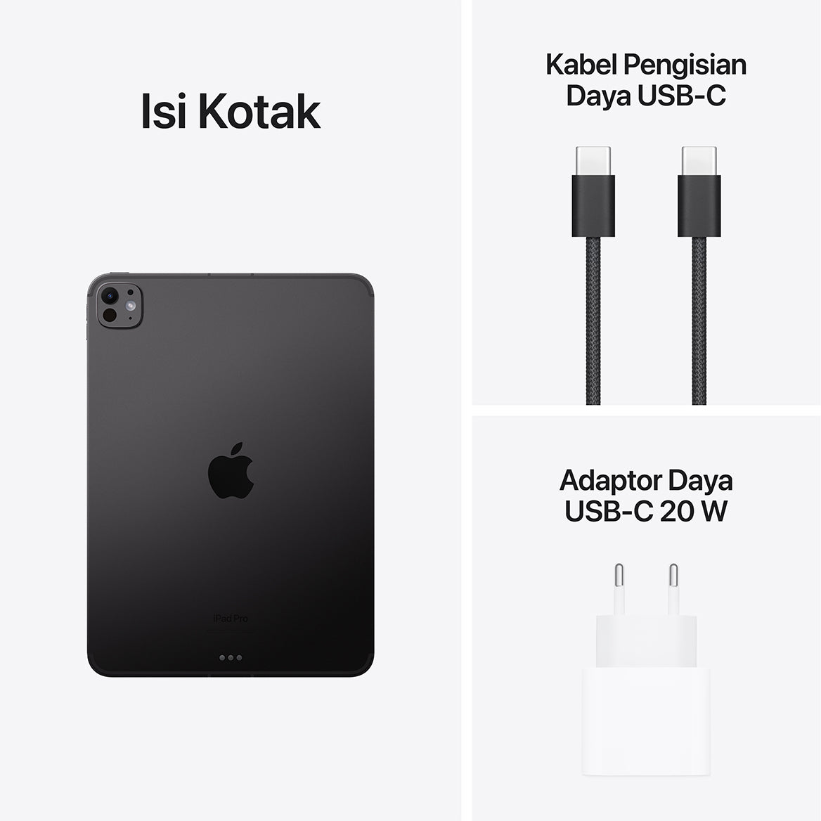 iPad Pro M4 13 Inci (Standard Glass, 2024)