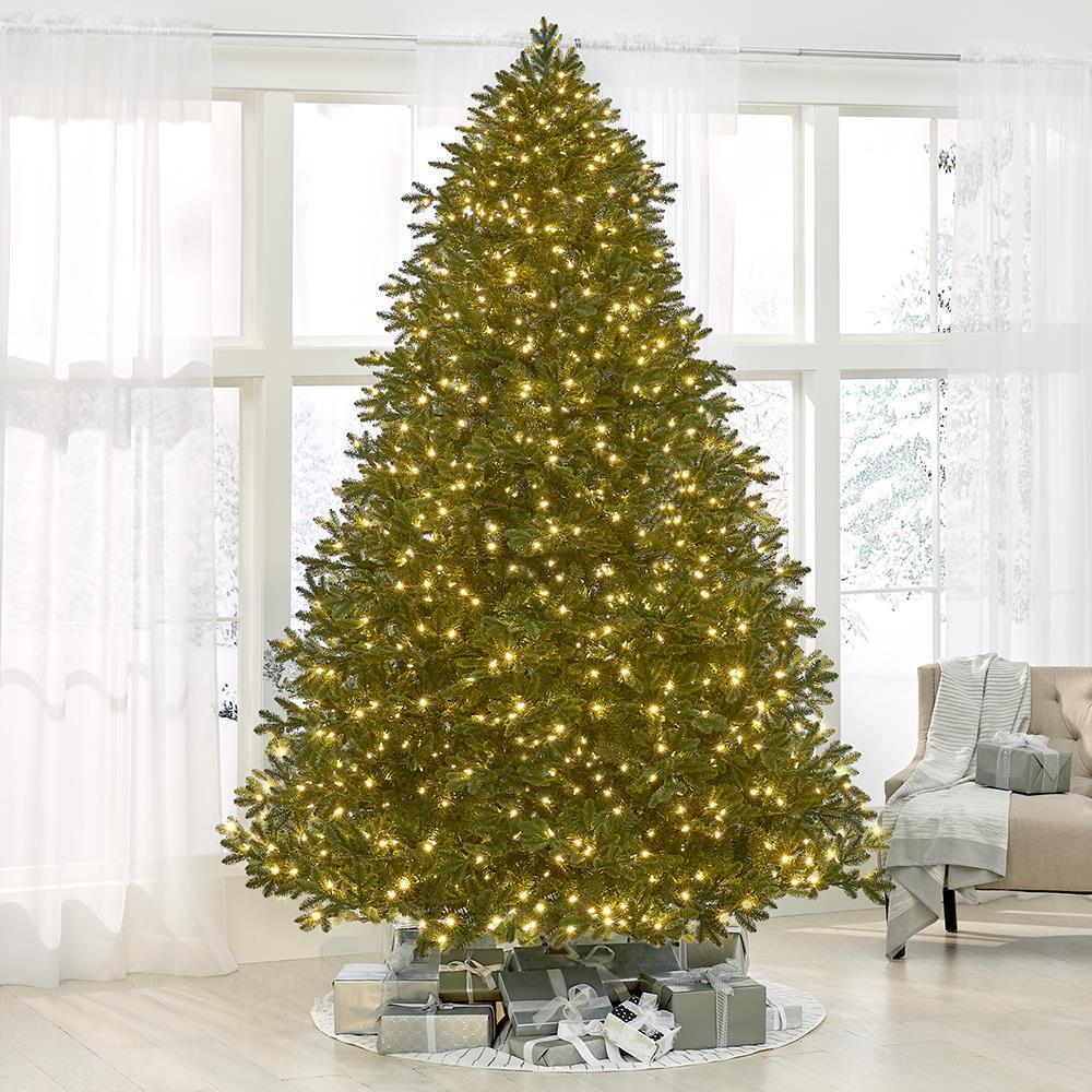 The World's Best Prelit Noble Fir (9.5' Full)