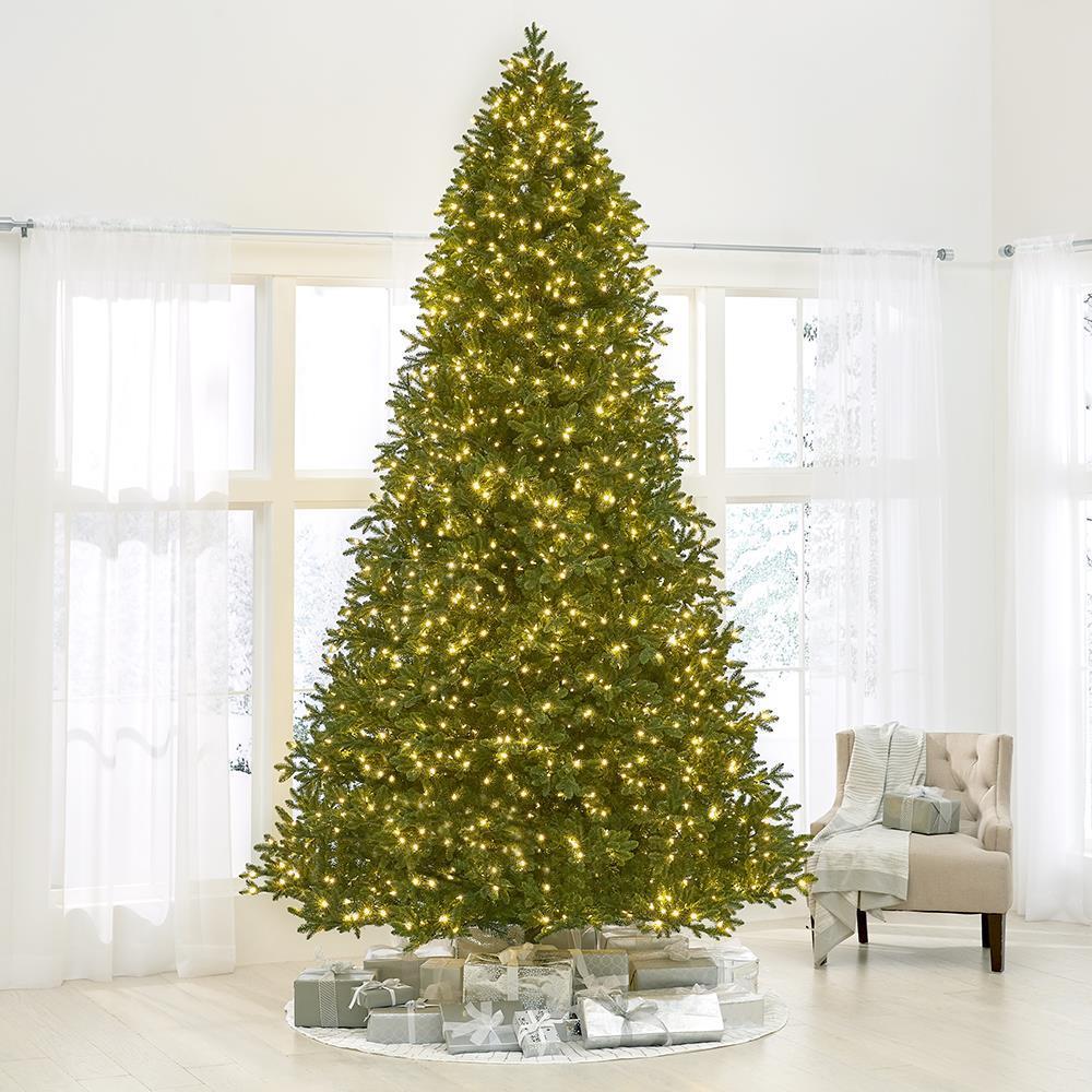The World's Best Prelit Noble Fir (12' Full) R2