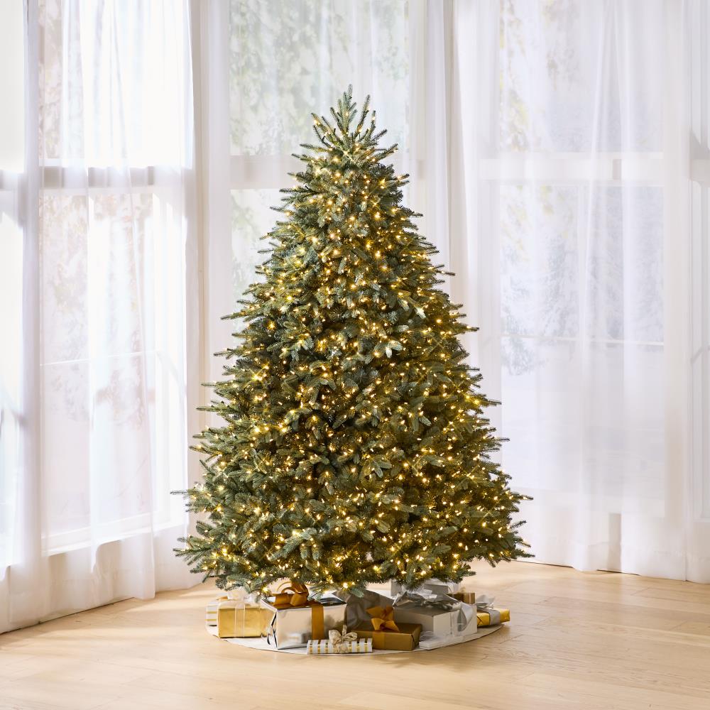 The 7.5ft World's Best Blue Fir Tree (full)