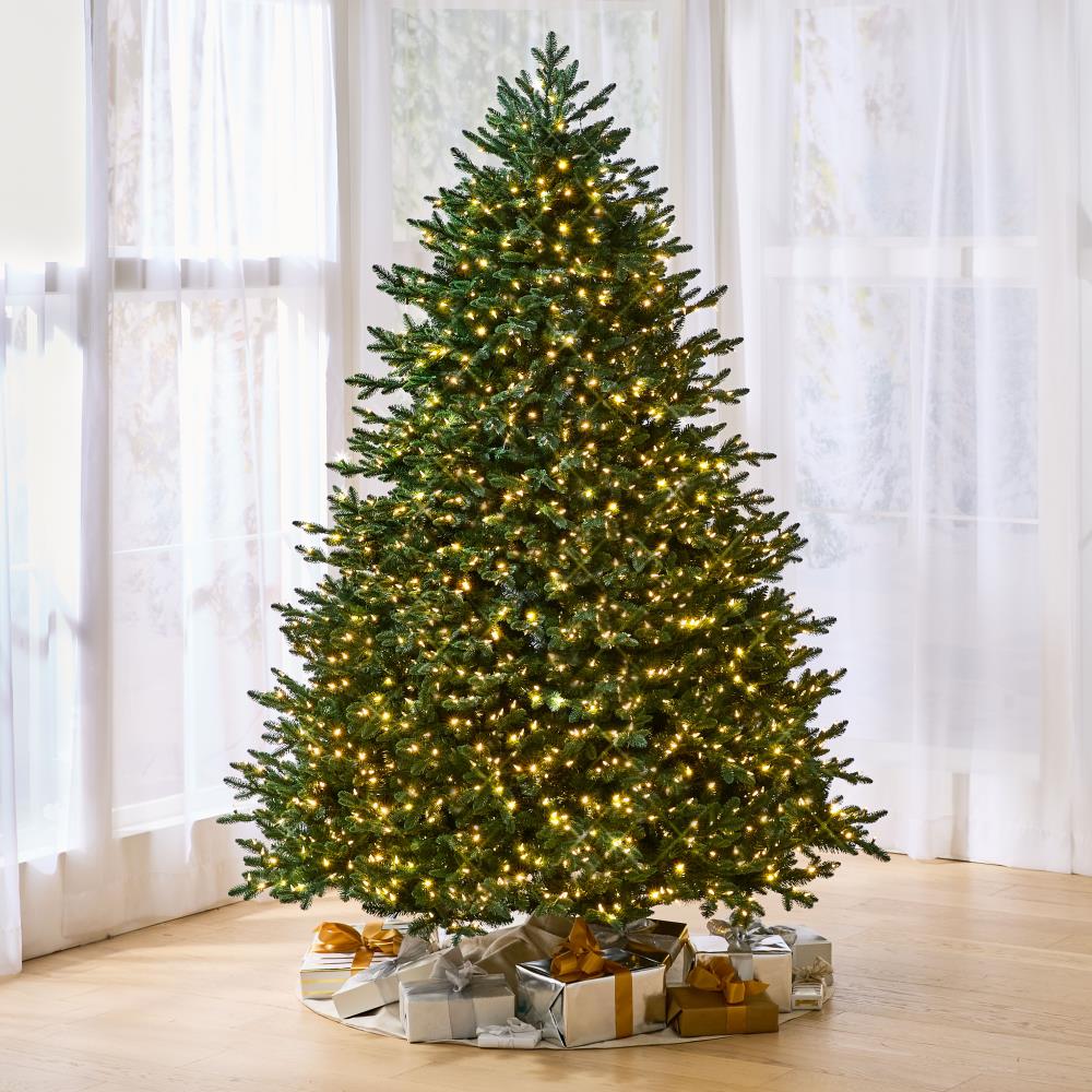 The Worlds Best 8.5ft Balsam Fir Full