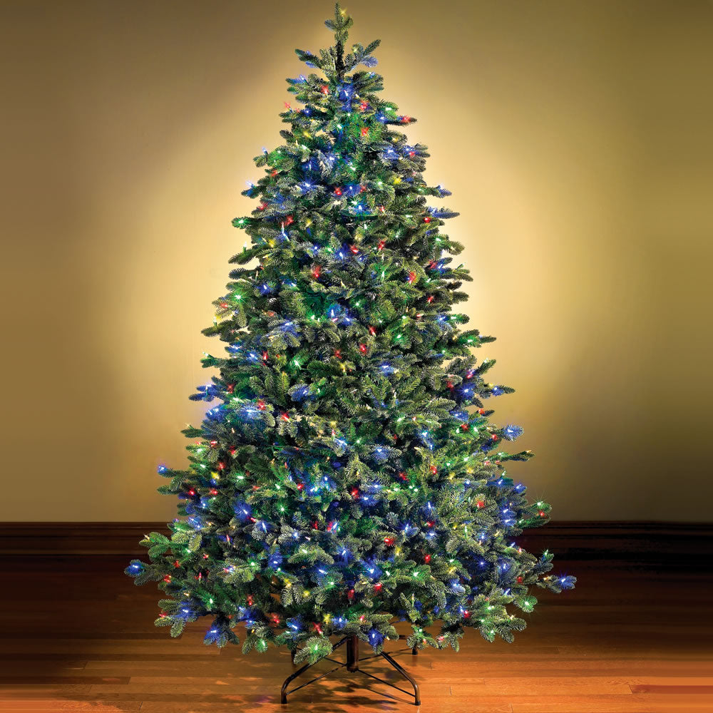 The Switchable Color Prelit Noble Fir