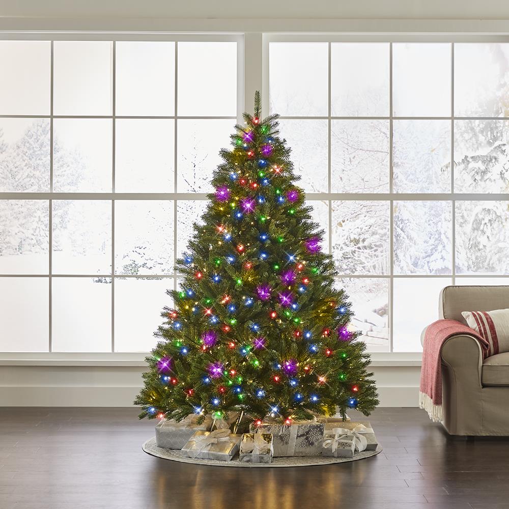 The World's Best Prelit Douglas Fir (6.5' Full)