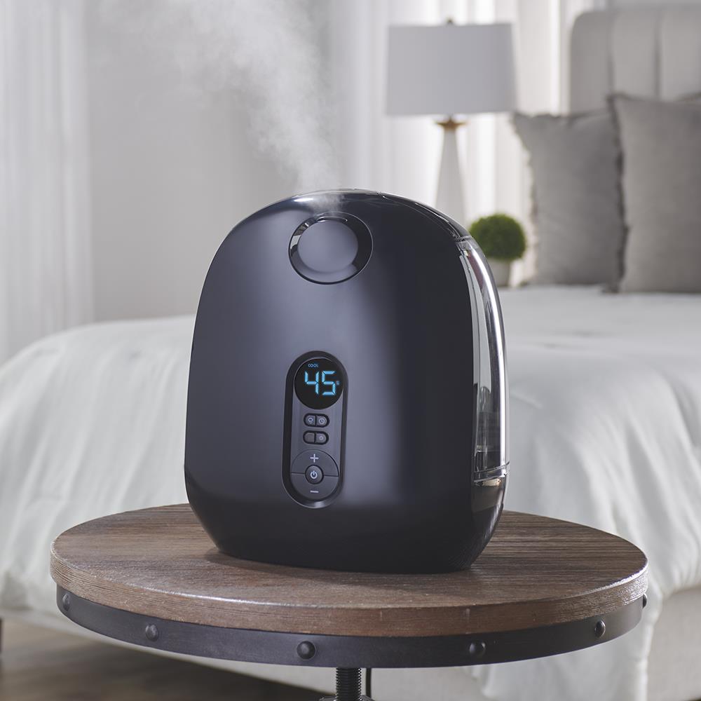 The Best Warm And Cool Mist Humidifier