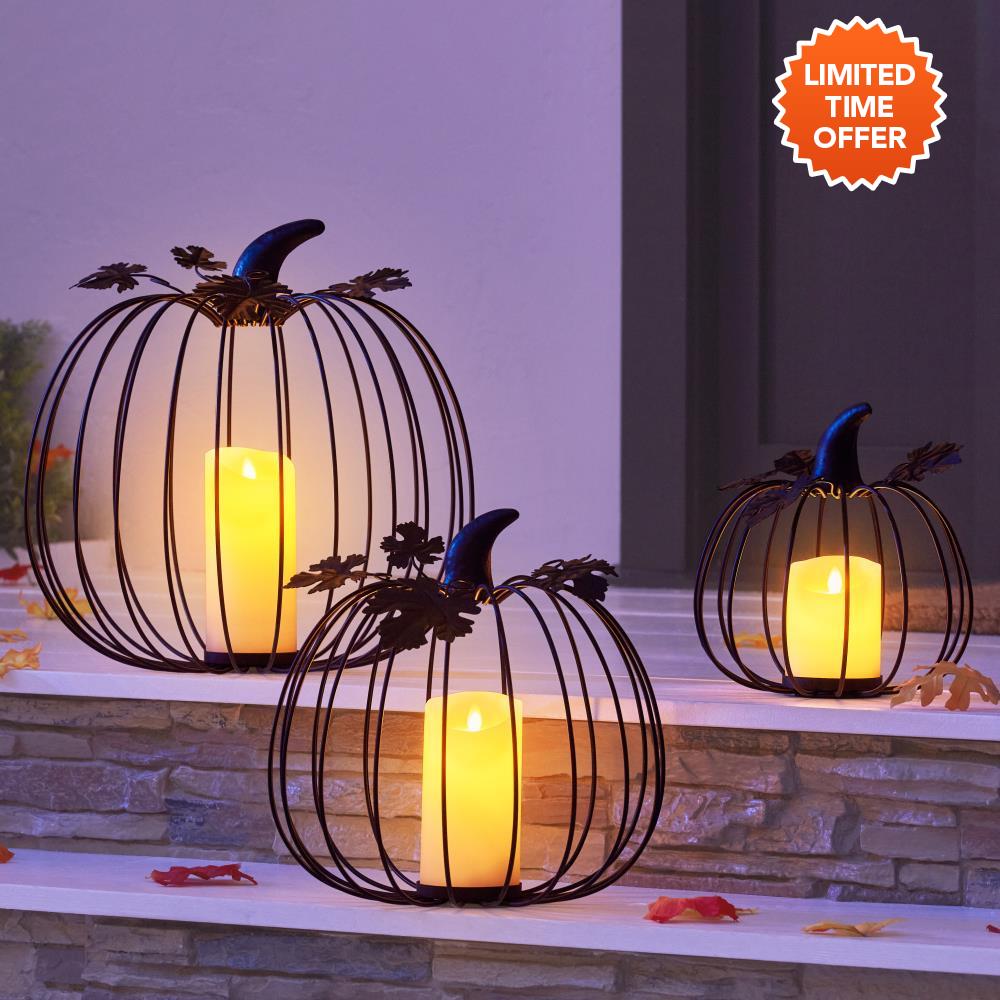 The Flameless Luminary Pumpkins